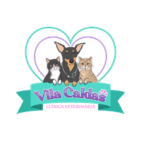 Logo Vila Caldas Clínica Veterinária 